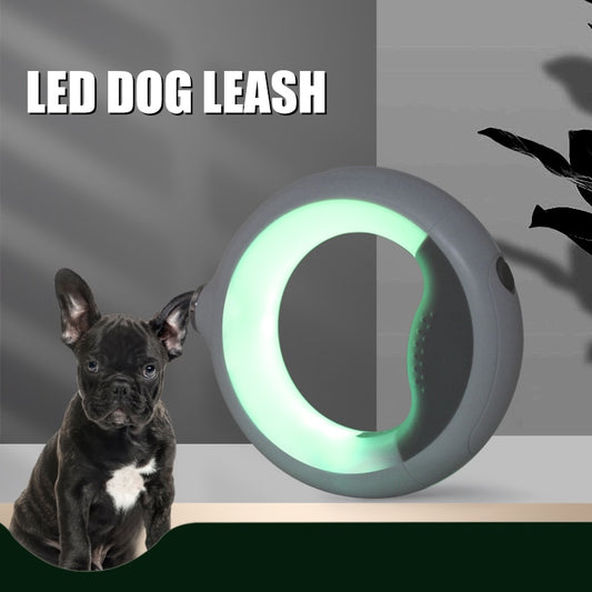 Coleira LED para cães